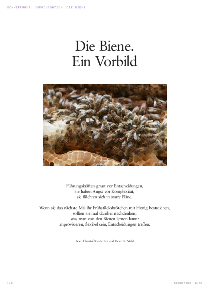 148_b1_10_08_bienen