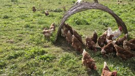 PXL_20211003_085820953