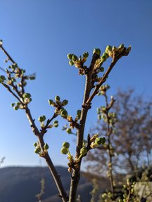 PXL_20220213_081556735